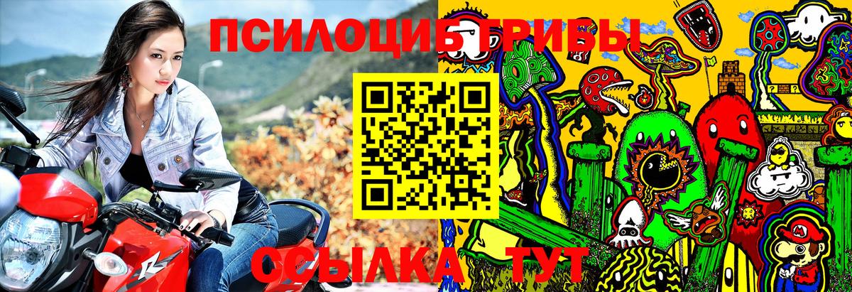 Галлюциногенные грибы Psilocybe  Вход с VPN  Знаменск 