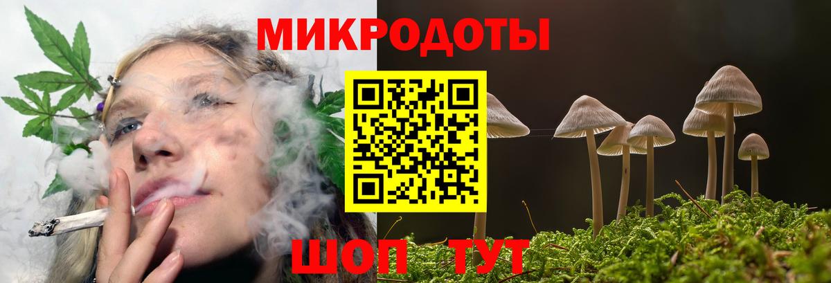 Галлюциногенные грибы GOLDEN TEACHER Знаменск